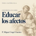 Conferencias en audio