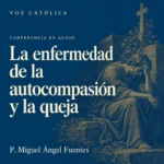 Conferencias en audio