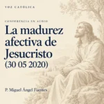 Conferencias en audio