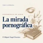 Conferencias en audio