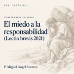 Conferencias en audio