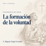 Conferencias en audio