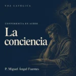 Conferencias en audio