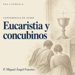 Conferencias en audio