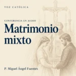 Conferencias en audio