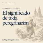 Conferencias en audio