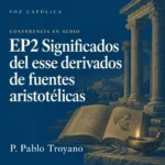 Conferencias en audio