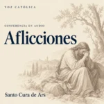 Conferencias en audio