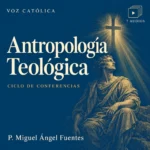Conferencias en audio