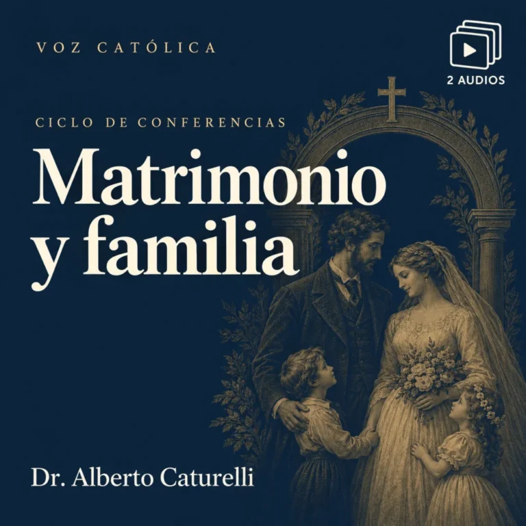Conferencias en audio