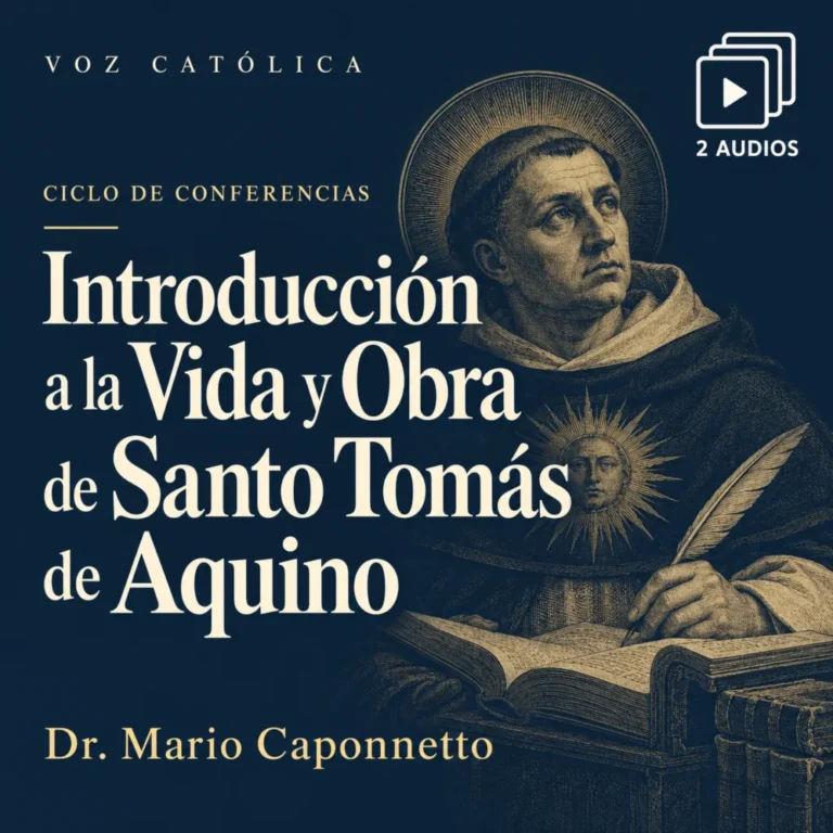 Conferencias en audio