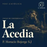 Conferencias en audio