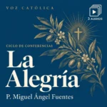Conferencias en audio