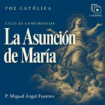 Conferencias en audio