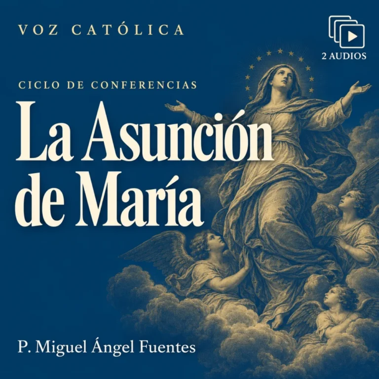 Conferencias en audio