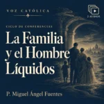 Conferencias en audio