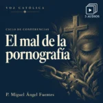 Conferencias en audio