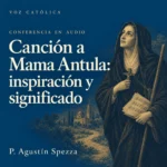 Conferencias en audio