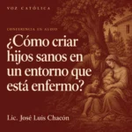 Conferencias en audio