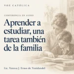Conferencias en audio