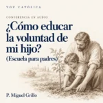 Conferencias en audio