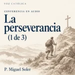 Conferencias en audio