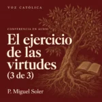 Conferencias en audio