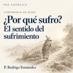 Conferencias en audio