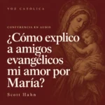 Conferencias en audio